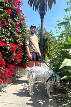 Load image into Gallery viewer, 1972 Unisexy Tennis Shorts in Black