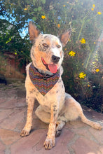 Load image into Gallery viewer, 1972 Tennis Bandana in Black Rainbow Print