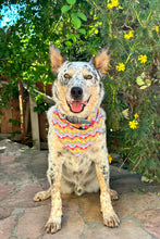 Load image into Gallery viewer, 1972 Tennis Bandana in White Rainbow Print