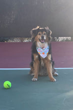 Load image into Gallery viewer, Love All Paisley Printed Bandana