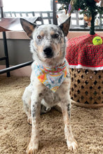 Load image into Gallery viewer, Love All Paisley Printed Bandana